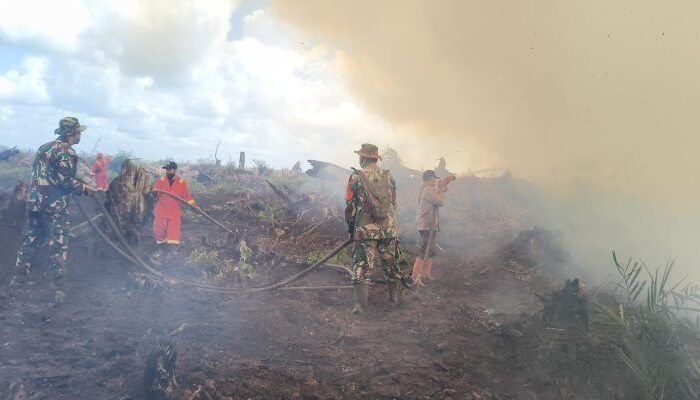 Tim Gabungan Pastikan Titik Api di Desa Merbau Pelalawan Padam Total, Proses Pendinginan Terus Dilakukan