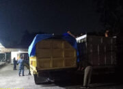 BBKSDA Riau Amankan Dua Truk Kayu Ilegal dari Hutan Suaka Margasatwa Kerumutan
