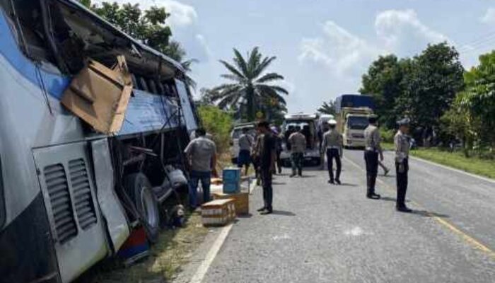 Nekat Menyalip di Garis Utuh, Bus PMH Adu Kambing dengan Truk di Pangkalan Lesung: 4 Nyawa Melayang