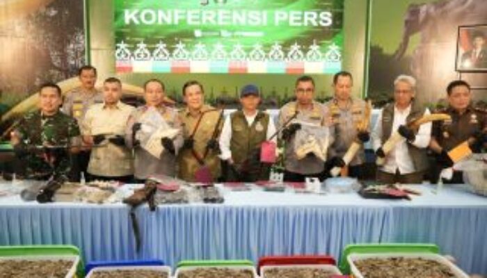 Mafia Gading Gajah Tersusun Rapi, Dari Hutan Sumatera hingga Raup Ratusan Juta di Jawa
