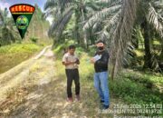 BPKH Tegaskan Lahan Jimmy Fuyanto Masuk Kawasan Hutan, AJPLH Desak Polres Pelalawan Tetapkan Tersangka