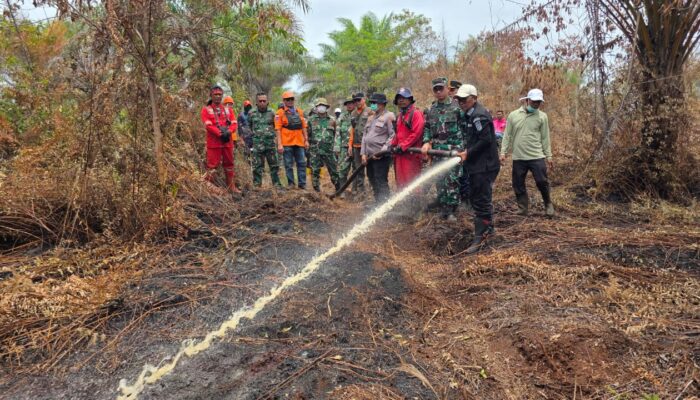 Sinergi Tanpa Batas: TNI-Polri dan Pemkab Pelalawan Turun Langsung Pemadaman Karhutla di Lahan Gambut