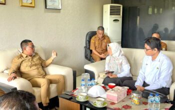 Audiensi dengan PLN: Bupati Pelalawan Kawal Progres Listrik 24 Jam di Pulau Mendol