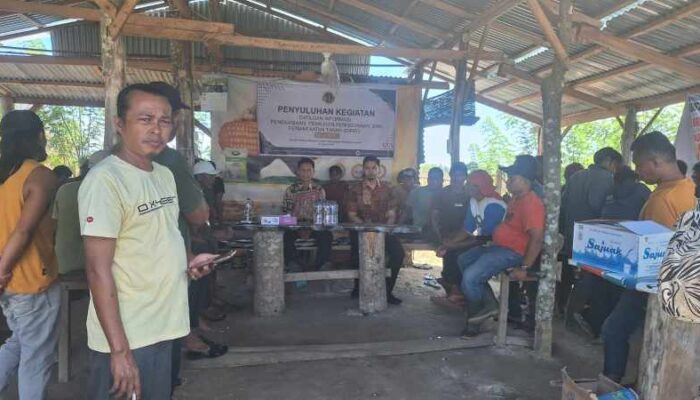 BPN Agam Laksanakan Penyuluhan P4T di Nagari Manggopoh