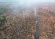 Terdeteksi Dashboard Lancang Kuning: Aksi Bakar Lahan Ilegal di Teluk Meranti Berakhir di Jeruji Besi