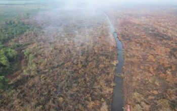 Terdeteksi Dashboard Lancang Kuning: Aksi Bakar Lahan Ilegal di Teluk Meranti Berakhir di Jeruji Besi