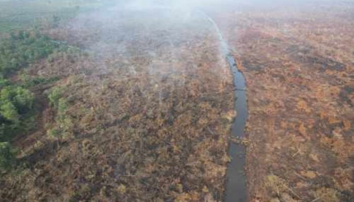 Terdeteksi Dashboard Lancang Kuning: Aksi Bakar Lahan Ilegal di Teluk Meranti Berakhir di Jeruji Besi