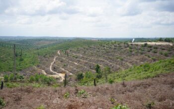Surat Keterangan Pengganti Identitas bagi Warga TNTN yang Akan Direlokasi Bisa Diurus dan Berlaku di Mana Saja