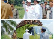 Geram Infrastruktur Rusak Akibat Truk Overloading, Bupati Pelalawan Ancam Evaluasi Izin Lintas PT RSS