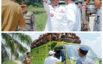 Geram Infrastruktur Rusak Akibat Truk Overloading, Bupati Pelalawan Ancam Evaluasi Izin Lintas PT RSS
