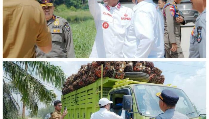 Geram Infrastruktur Rusak Akibat Truk Overloading, Bupati Pelalawan Ancam Evaluasi Izin Lintas PT RSS