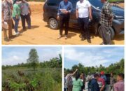 Kawal Sidang Lapangan, Tim Kuasa Hukum Ramzi Minta Proses Hukum Sengketa Lahan Kampar Berjalan Objektif
