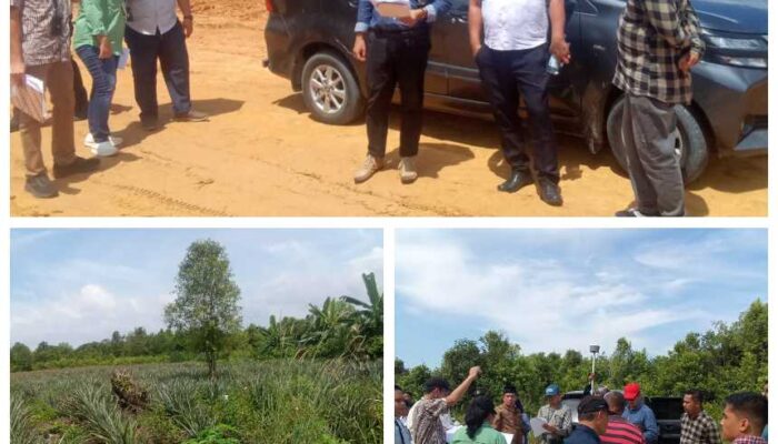 Kawal Sidang Lapangan, Tim Kuasa Hukum Ramzi Minta Proses Hukum Sengketa Lahan Kampar Berjalan Objektif