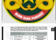 Aneh, Dua Nama Calon Direktur BSP Dipertanyakan, Diduga Tak Penuhi Syarat, Pansel Diminta Transparan