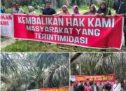 Warga Gondai Kepung Lahan Sawit PT PSJ, Tuntut Tanah Warisan Dikembalikan