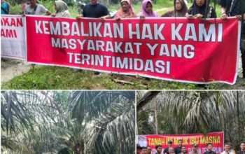 Warga Gondai Kepung Lahan Sawit PT PSJ, Tuntut Tanah Warisan Dikembalikan