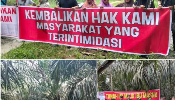 Warga Gondai Kepung Lahan Sawit PT PSJ, Tuntut Tanah Warisan Dikembalikan