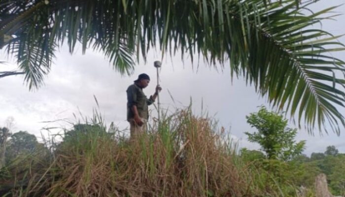 Kantor Pertanahan Kabupaten Agam Laksanakan Pengukuran PTSL di Nagari Manggopoh