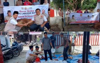 Wujud Kepedulian Iduladha, DPC Gerindra Labuhanbatu Salurkan Hewan Kurban untuk Masyarakat
