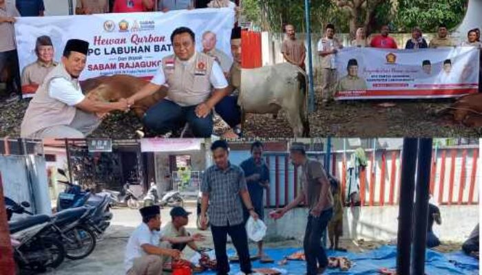 Wujud Kepedulian Iduladha, DPC Gerindra Labuhanbatu Salurkan Hewan Kurban untuk Masyarakat