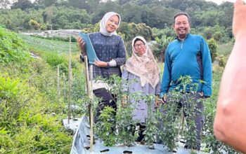 Dorong Integrasi Aset dan Akses Pertanian, Tim GTRA Agam Tinjau Potensi Ekonomi di Sungai Landia