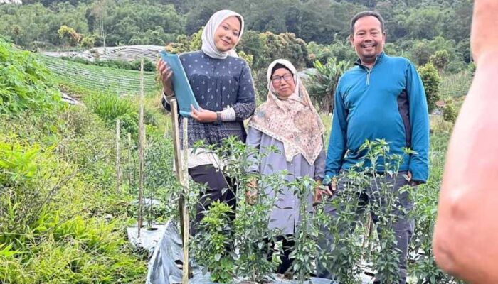 Dorong Integrasi Aset dan Akses Pertanian, Tim GTRA Agam Tinjau Potensi Ekonomi di Sungai Landia