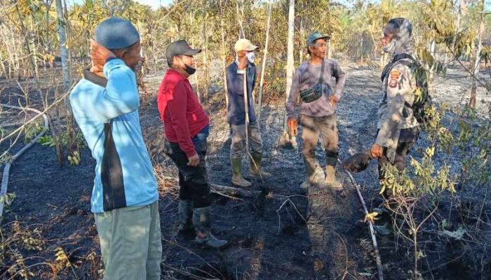 Hanguskan 180 Hektare Lahan, Pelaku Karhutla di Pedekik Ditangkap Polres Bengkalis