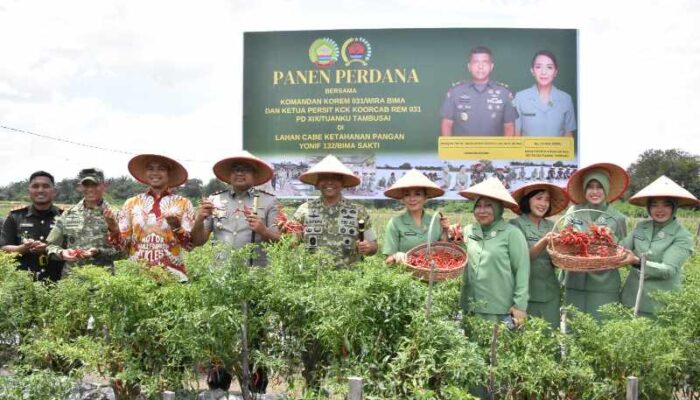 Dukung Ketahanan Pangan, Danrem 031/WB Pimpin Panen Raya Cabai di Yonif 132/BS