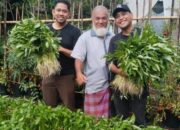Yayasan Kumle Jaya Bermartabat Berdayakan Warga Labuhanbatu Pasok Bahan Baku Makan Bergizi Gratis