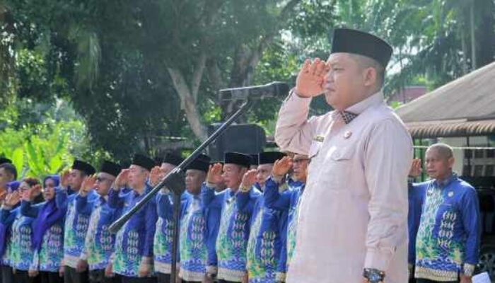 Pencanangan Sensus Ekonomi 2026 di Labuhanbatu, Wabup Tekankan Akurasi Data