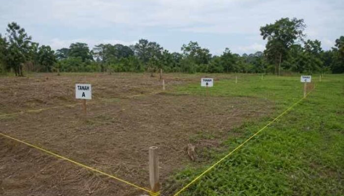 Kenali Prosedur dan Syarat Pemisahan Bidang Tanah