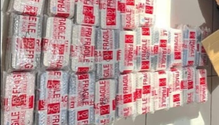 Gagal Kelabui Petugas, Ratusan iPhone Selundupan dari Malaysia Disita Bea Cukai Bengkalis