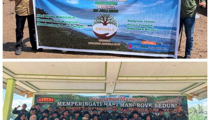 RINGGALA dan APARI Serta Jurnalis Lingkungan Gelar Aksi Tanam Mangrove di Ampiang Parak Pesisir Selatan