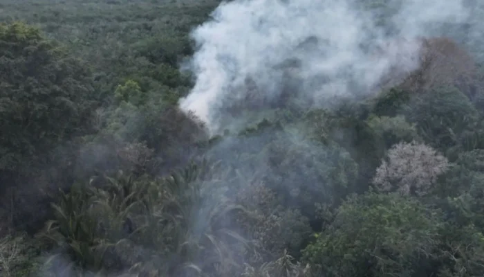 Nekat Bakar Lahan Saat Musim Kemarau, Polres Bengkalis Tetapkan Pria Lansia Sebagai Tersangka