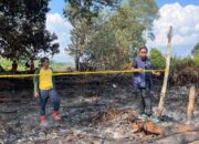 Buka Lahan dengan Cara Dibakar, Warga Pelalawan Dijebloskan ke Penjara
