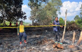 Buka Lahan dengan Cara Dibakar, Warga Pelalawan Dijebloskan ke Penjara