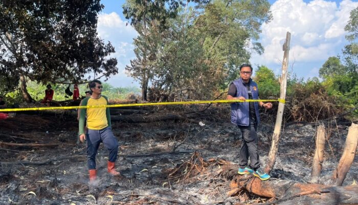 Buka Lahan dengan Cara Dibakar, Warga Pelalawan Dijebloskan ke Penjara