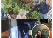 APARI Apresiasi Operasi Gakkumhut di SM Kerumutan, Desak Pengusutan Tuntas Jaringan Pembalak Liar