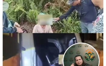APARI Apresiasi Operasi Gakkumhut di SM Kerumutan, Desak Pengusutan Tuntas Jaringan Pembalak Liar