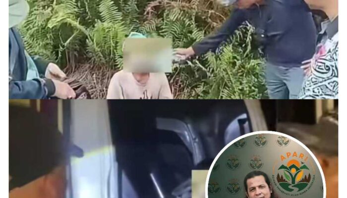 APARI Apresiasi Operasi Gakkumhut di SM Kerumutan, Desak Pengusutan Tuntas Jaringan Pembalak Liar