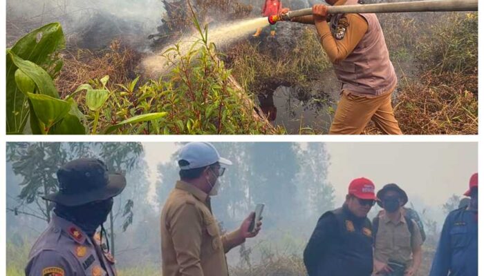 Bupati Zukri Turun Langsung Tangani Karhutla di Rantau Baru, Hampir 50 Hektare Lahan Gambut Terbakar