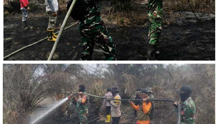 Kodam XIX Tuanku Tambusai Perkuat Penanganan Karhutla di Lubuk Kembang Bunga