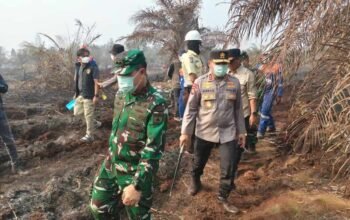 Penegakan Hukum Karhutla: Polda Riau Tetapkan 44 Tersangka dari 41 Kasus