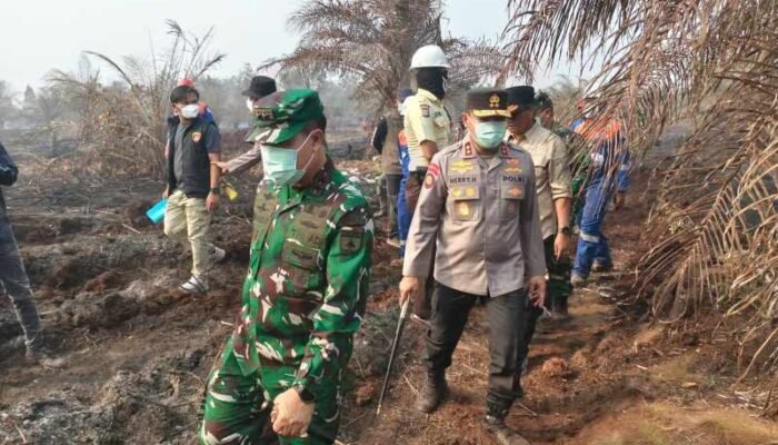 Penegakan Hukum Karhutla: Polda Riau Tetapkan 44 Tersangka dari 41 Kasus
