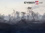 Sisa Karhutla Riau Tinggal di Tiga Wilayah, BPBD Damkar Fokuskan Pendinginan Lahan Gambut