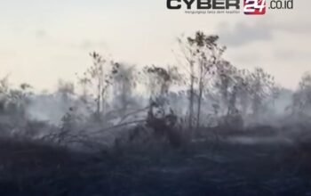 Sisa Karhutla Riau Tinggal di Tiga Wilayah, BPBD Damkar Fokuskan Pendinginan Lahan Gambut