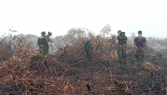 Api Tak Lagi Terlihat, Kodam XIX/Tuanku Tambusai Fokus Tuntaskan Pendinginan Karhutla Inhu