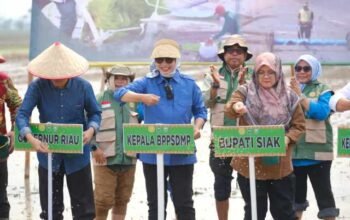 Pacu Produksi Pangan Nasional, Kementan Gelar Gerakan Tanam Serempak 50.000 Hektare di Riau