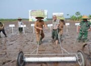 Siak Terima Program Penanaman 70.000 Hektare, Perkuat Peran Bungaraya sebagai Lumbung Pangan