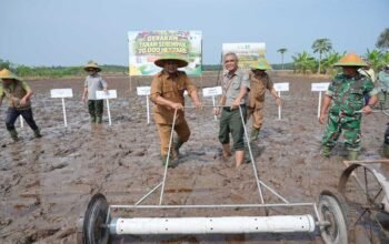 Siak Terima Program Penanaman 70.000 Hektare, Perkuat Peran Bungaraya sebagai Lumbung Pangan